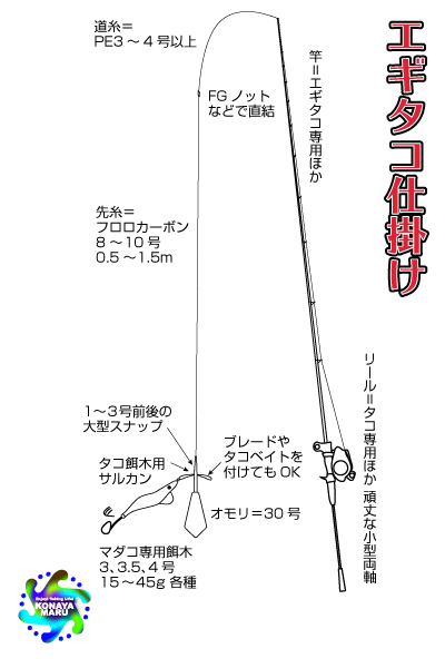 エギタコの基本道具