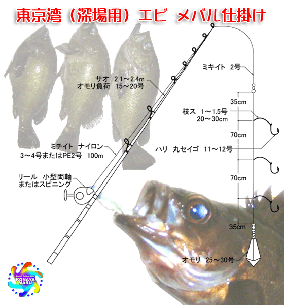 東京湾（深場用）エビ・メバル仕掛け